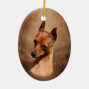 Search for miniature ornaments Pinscher