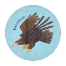 Recherche de aigle planches à découper Faucon