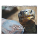 Search for tortoise calendars Reptile