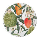 Recherche de illustration botanique planches à découper Plante