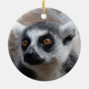 Search for lemur ornaments Ring tailed lemur