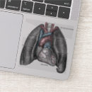 Recherche de anatomique autocollants Médecin