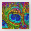 Search for peacock feather art Feathers