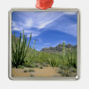 Search for pipe organ ornaments National monument