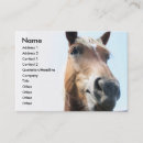 Recherche de équitation cartes visite Cowboy