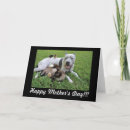 Search for fur baby mother cards For her