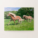 Search for funny horse puzzles Animal