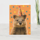 Recherche de quokka cartes postales Fête