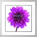 Recherche de purple posters Accueil