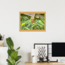 Search for fern leaves posters Nature