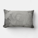 Search for begonia White begonia