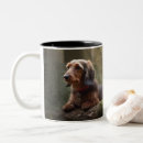 Search for wirehaired dachshund mugs Dog