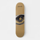 Search for dino skateboards T rex