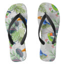 Search for parrot shoes Cockatoo