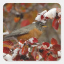 Search for hawthorn stickers Bird