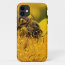 Recherche de marguerite africaine iphone coques Botanique