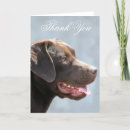 Search for dog thank you cards Pet
