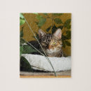 Recherche de étagères puzzles Mignon