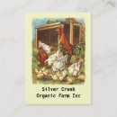 Recherche de poules et poussins cartes visite Poulets