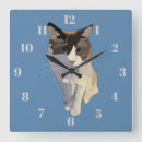 Search for ragdoll posters Blue