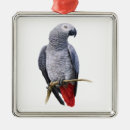 Search for african grey parrot ornaments Bird