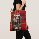 Search for and tan coonhound accessories Dogs