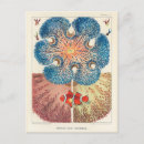 Recherche de carroll cartes postales Vintage