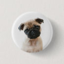 Recherche de carlins badges Animal