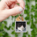 Search for fluffy kitten keychains Pet