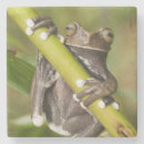 Search for endangered barware Nature