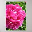 Search for practical posters Pink