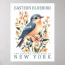 Search for capped chickadee posters Illustration