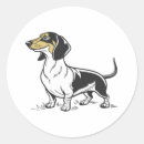 Search for isolation stickers Animal