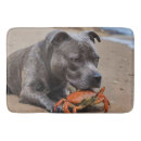Search for best friend bath mats Dog