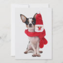 Recherche de de noël de chiwawa L'espagne