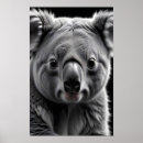 Search for adorable koala posters Wildlife