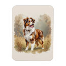 Search for aussie shepherd magnets Dogs