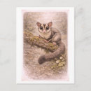 Recherche de planeur cartes postales Dessin