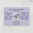 Recherche de tzu de shih cartes visite Chiot