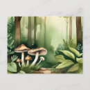 Search for intricate postcards Watercolor