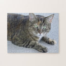 Search for tabby cat puzzles Pet