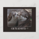 Search for otter pictures postcards Cute