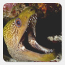 Recherche de maldives autocollants Océan indien
