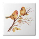Search for finch tiles Cute
