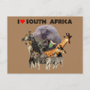 Recherche de africa cartes postales Animal