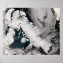 Search for arctic fox posters Ice