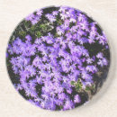 Search for springtime coasters Floral