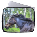 Recherche de traitement de courrier Amoureux des chevaux