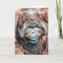 Search for orangutan cards Cute