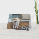 Recherche de siffler vœux cartes Chat